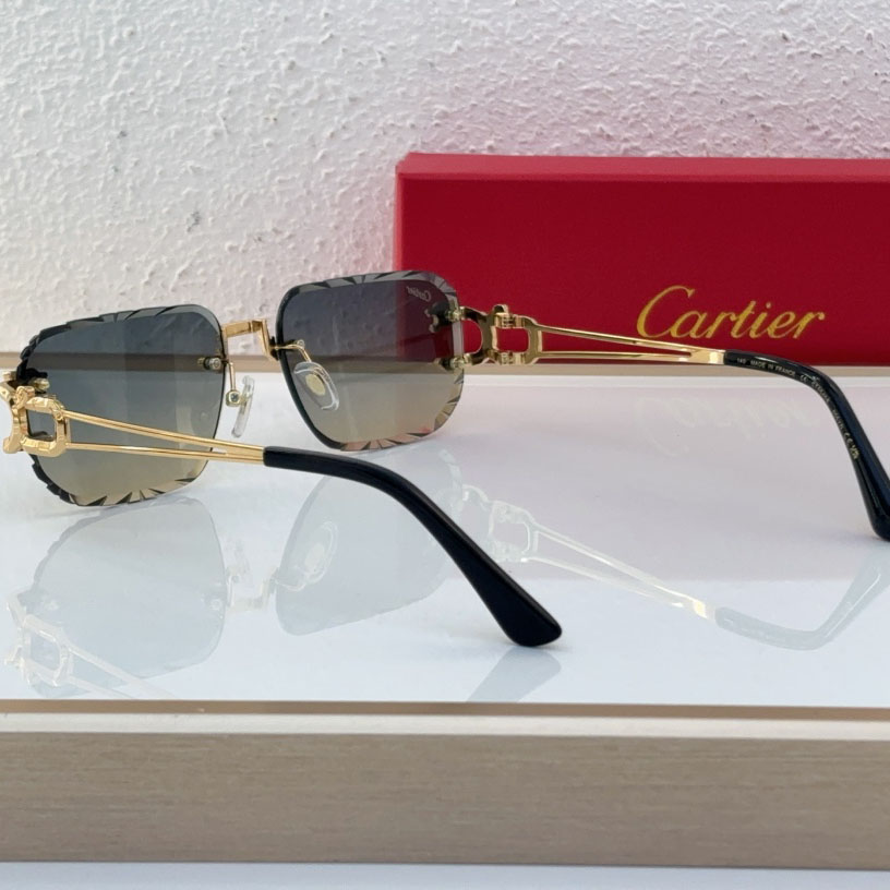 Cartier CT0540S Sunglasses - 