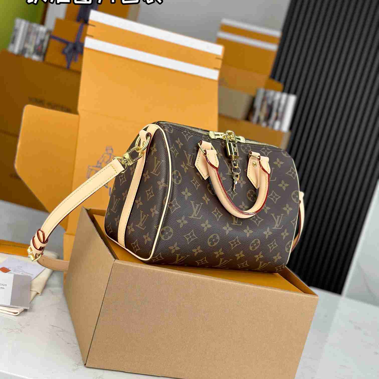 Louis Vuitton Speedy 25  M41113 - 