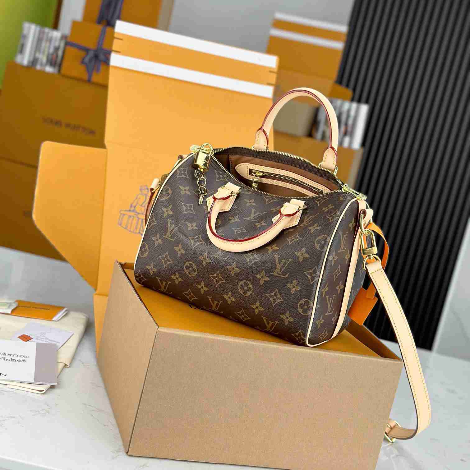Louis Vuitton Speedy 25  M41113 - 
