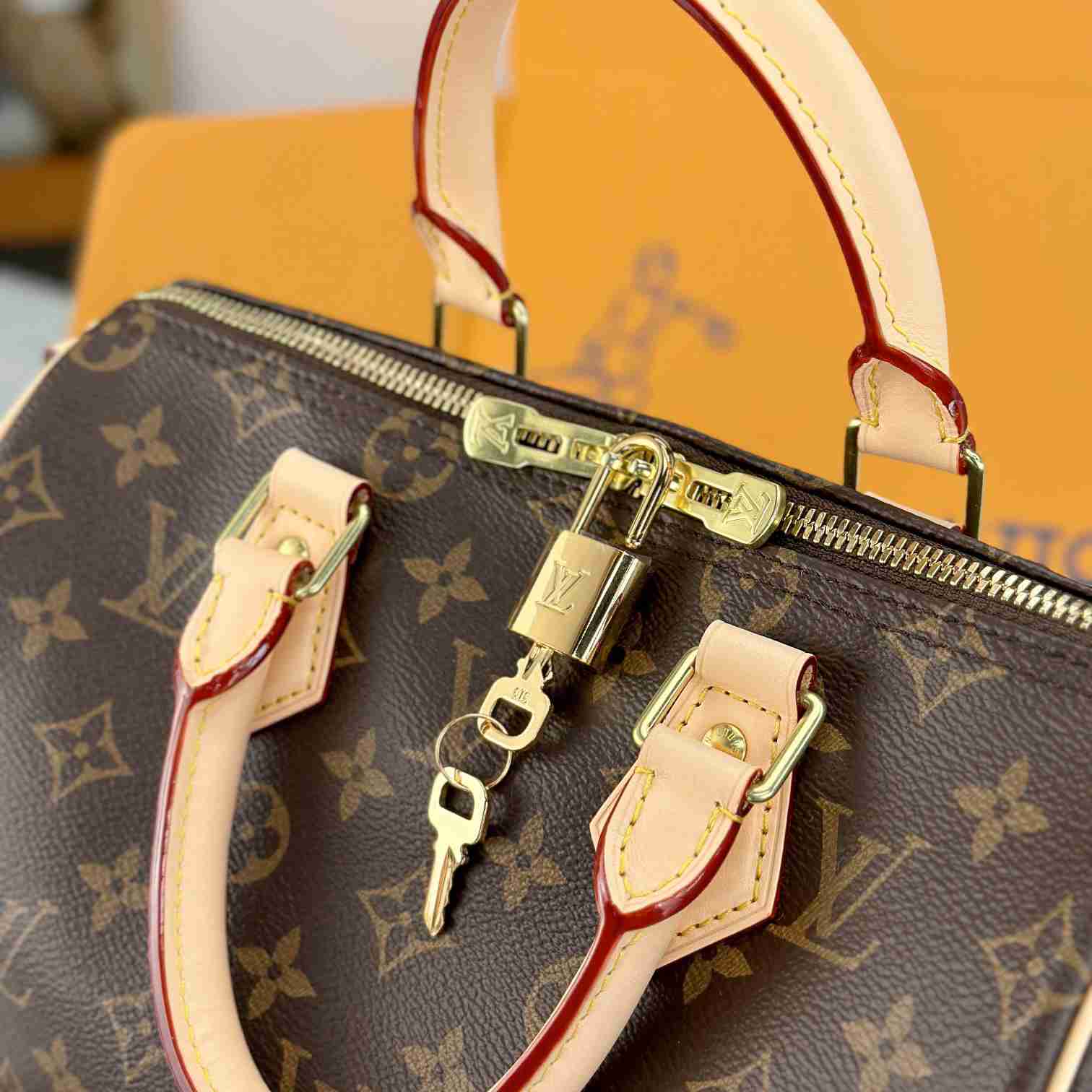 Louis Vuitton Speedy 25  M41113 - 