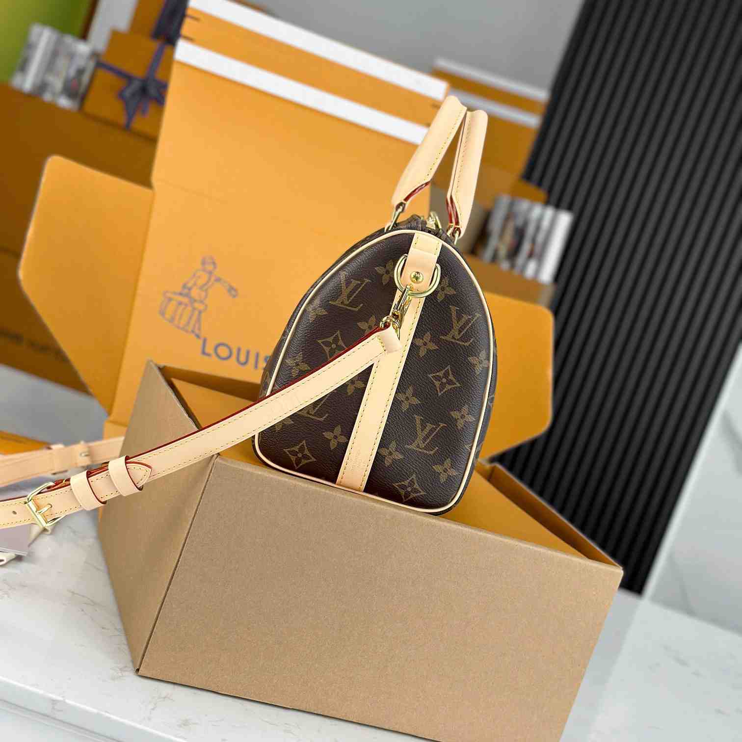 Louis Vuitton Speedy 25  M41113 - 