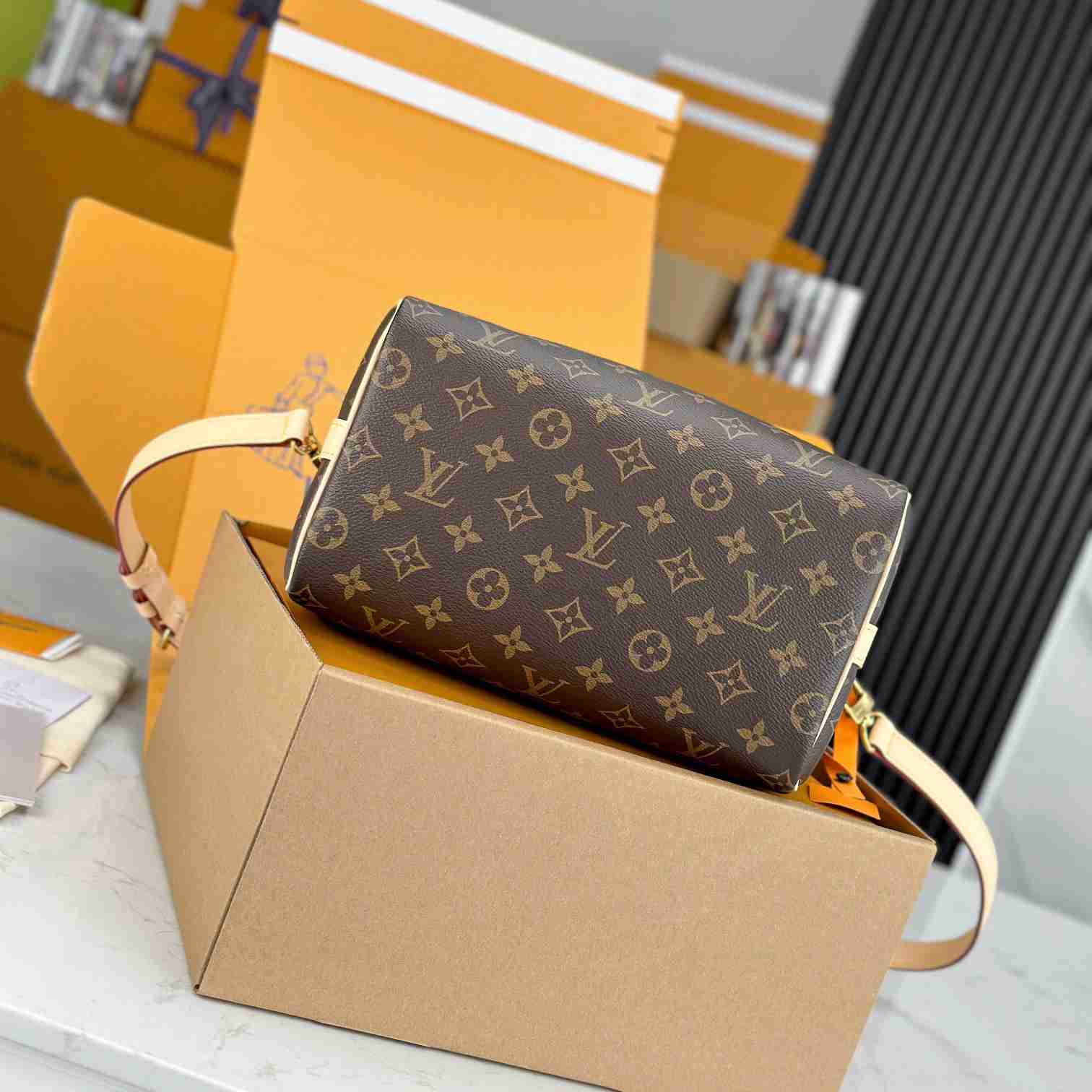 Louis Vuitton Speedy 25  M41113 - 