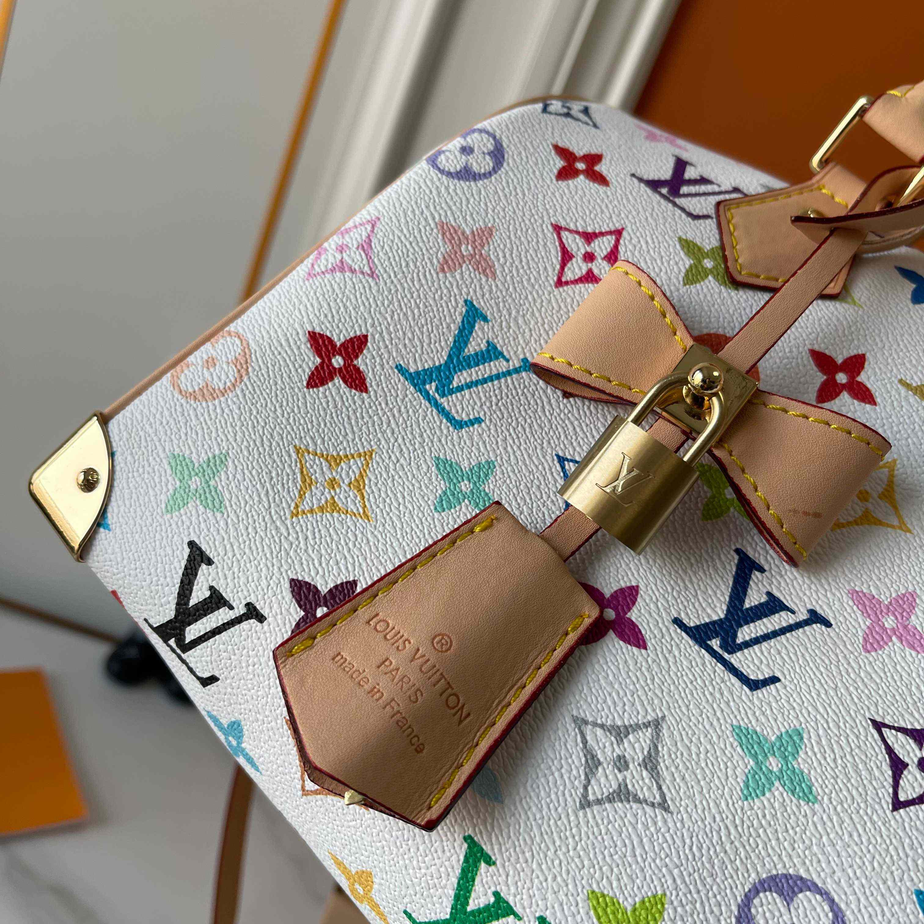 Louis Vuitton LV x TM Speedy Bandoulière 25  M13085 - 