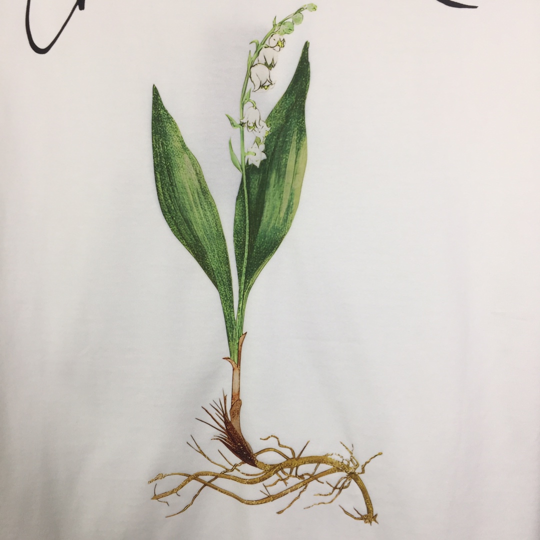 Dior Logo T-Shirt  - 
