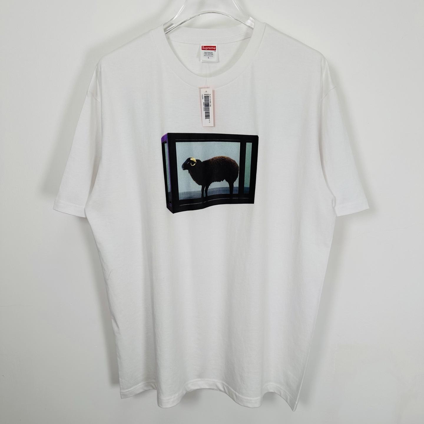 Supreme Damien Hirst Tee White - DesignerGu