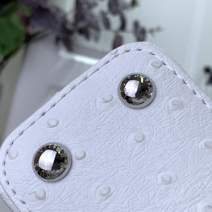 Louis Vuitton Capucines BB   M48865  16.3 x 11 x 6.5 cm - DesignerGu