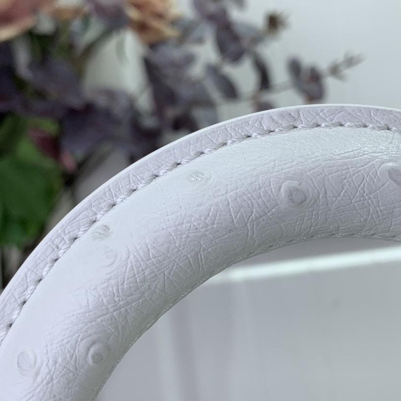 Louis Vuitton Capucines BB   M48865  16.3 x 11 x 6.5 cm - DesignerGu