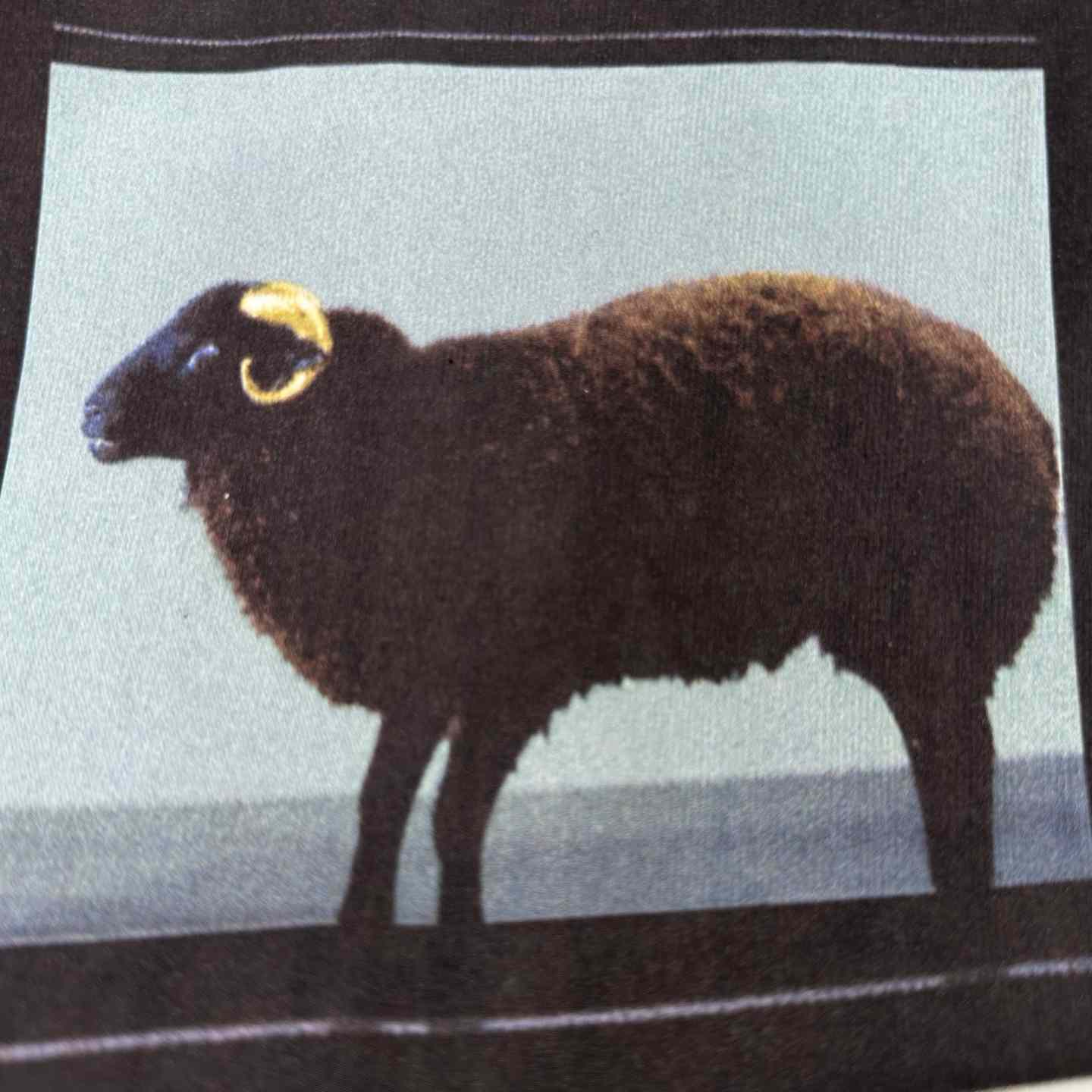 Supreme Damien Hirst Tee Black - DesignerGu