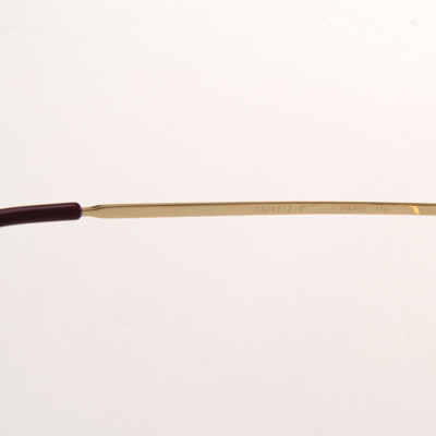 Cartier CT 1324912 Eyeglasses In Gold - DesignerGu