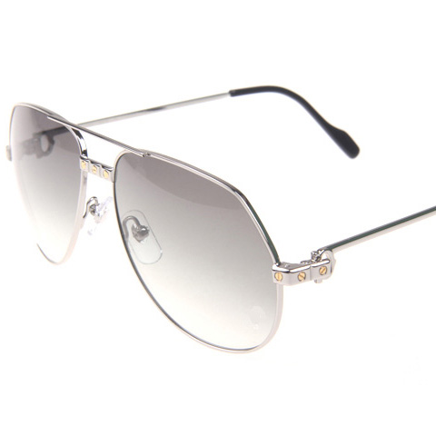 Cartier CT 1324912 Sunglasses In Silver Grey - DesignerGu