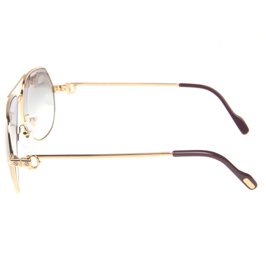 Cartier CT 1324912 Sunglasses In Gold Grey - DesignerGu