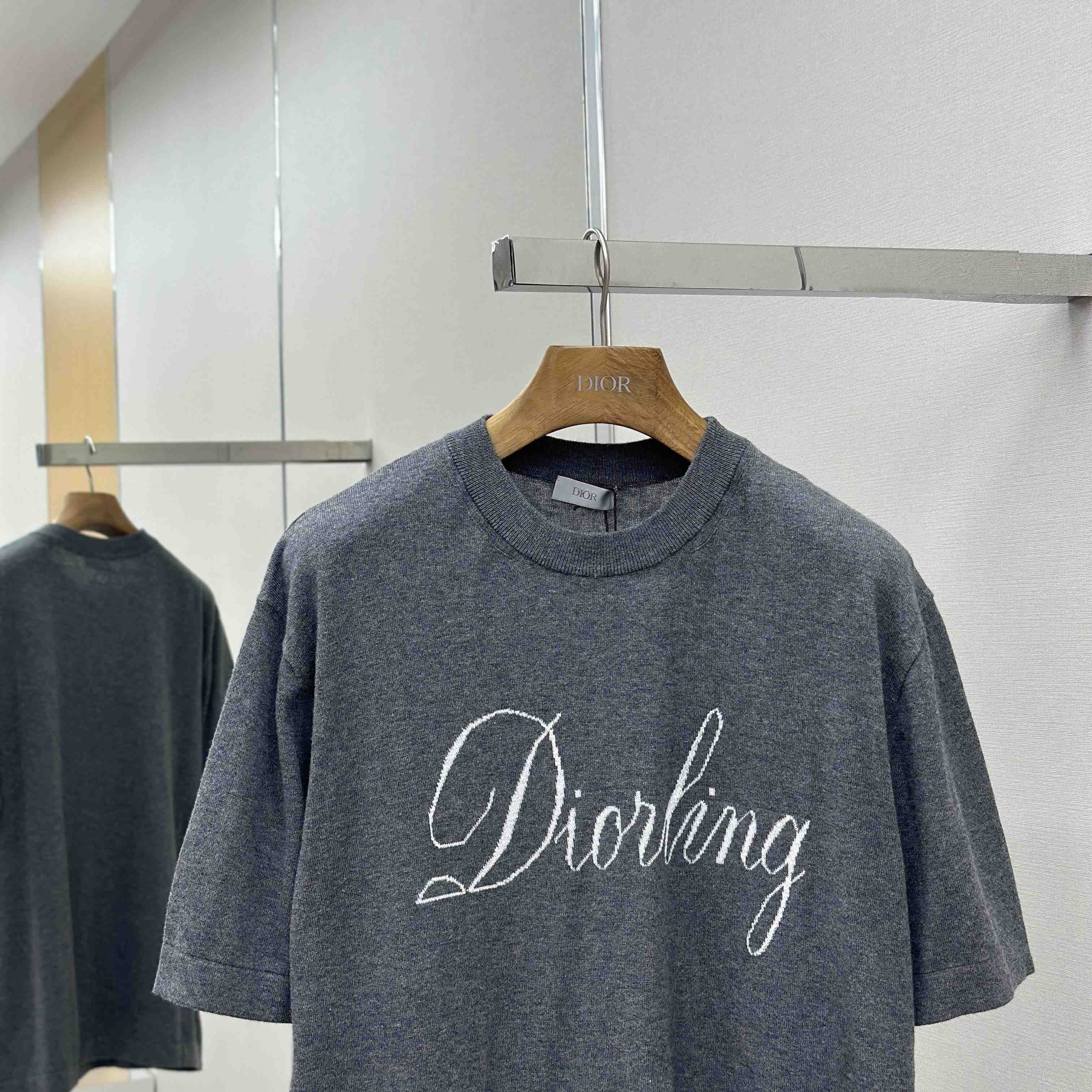 Dior Diorling T-Shirt  - DesignerGu