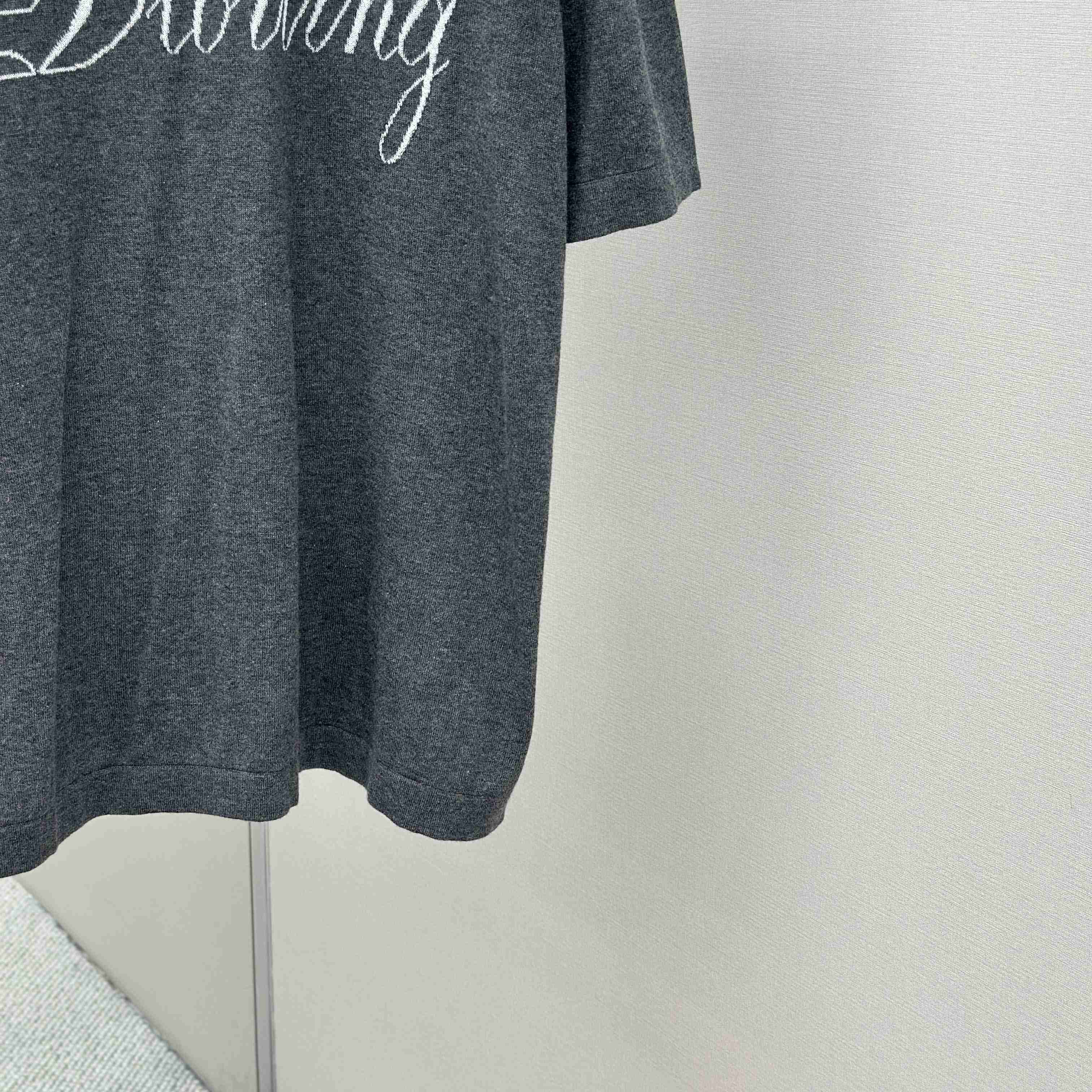 Dior Diorling T-Shirt  - DesignerGu