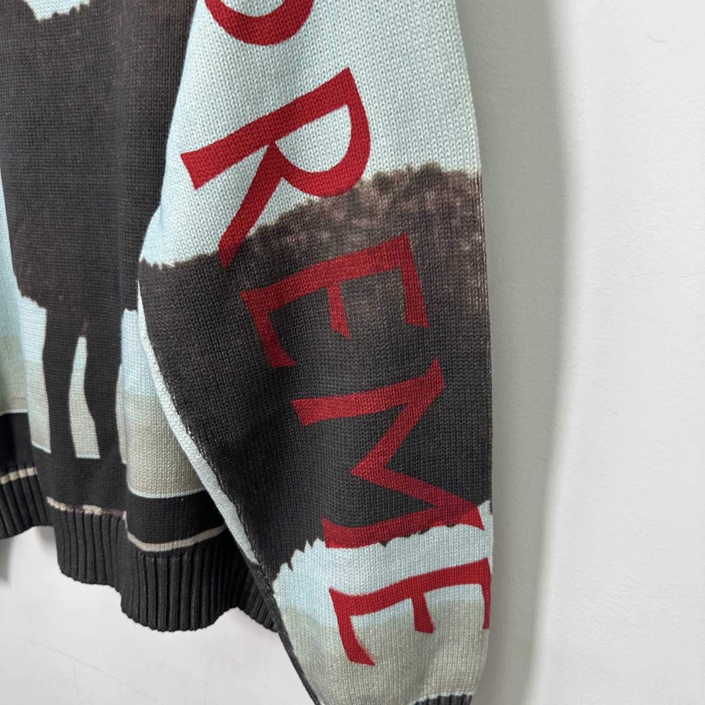 Supreme x Damien Hirst Sweater - DesignerGu