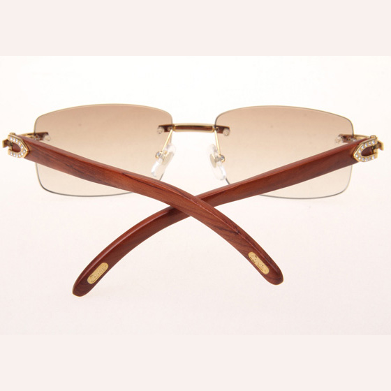 Cartier CT_3524012 Diamond Wood Eyeglasses In Gold_Brown - DesignerGu