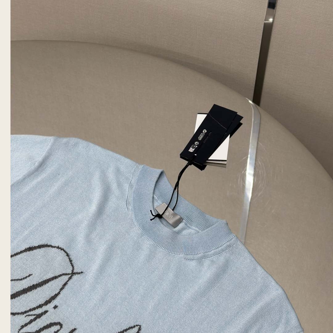 Dior Diorling T-Shirt   - DesignerGu