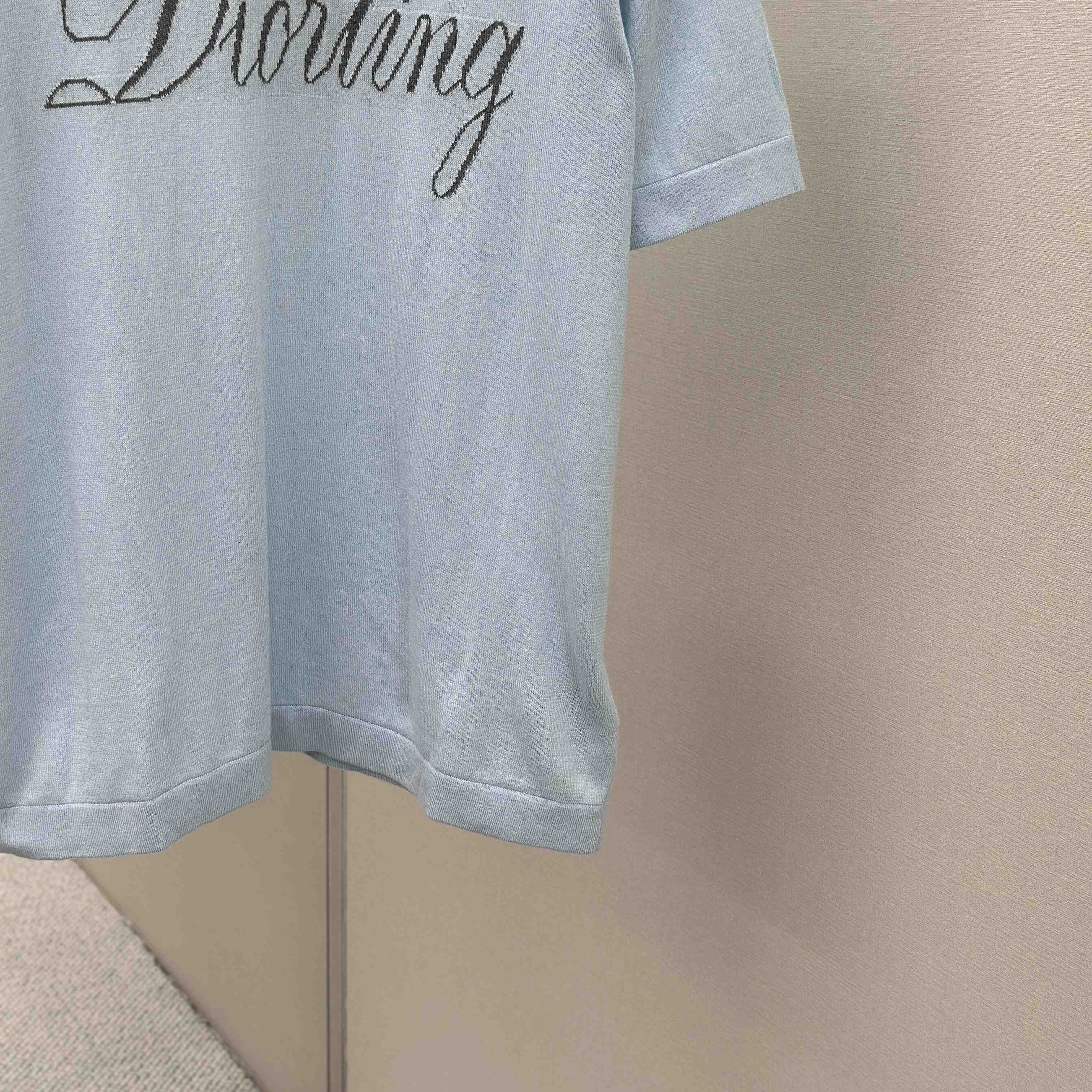 Dior Diorling T-Shirt   - DesignerGu