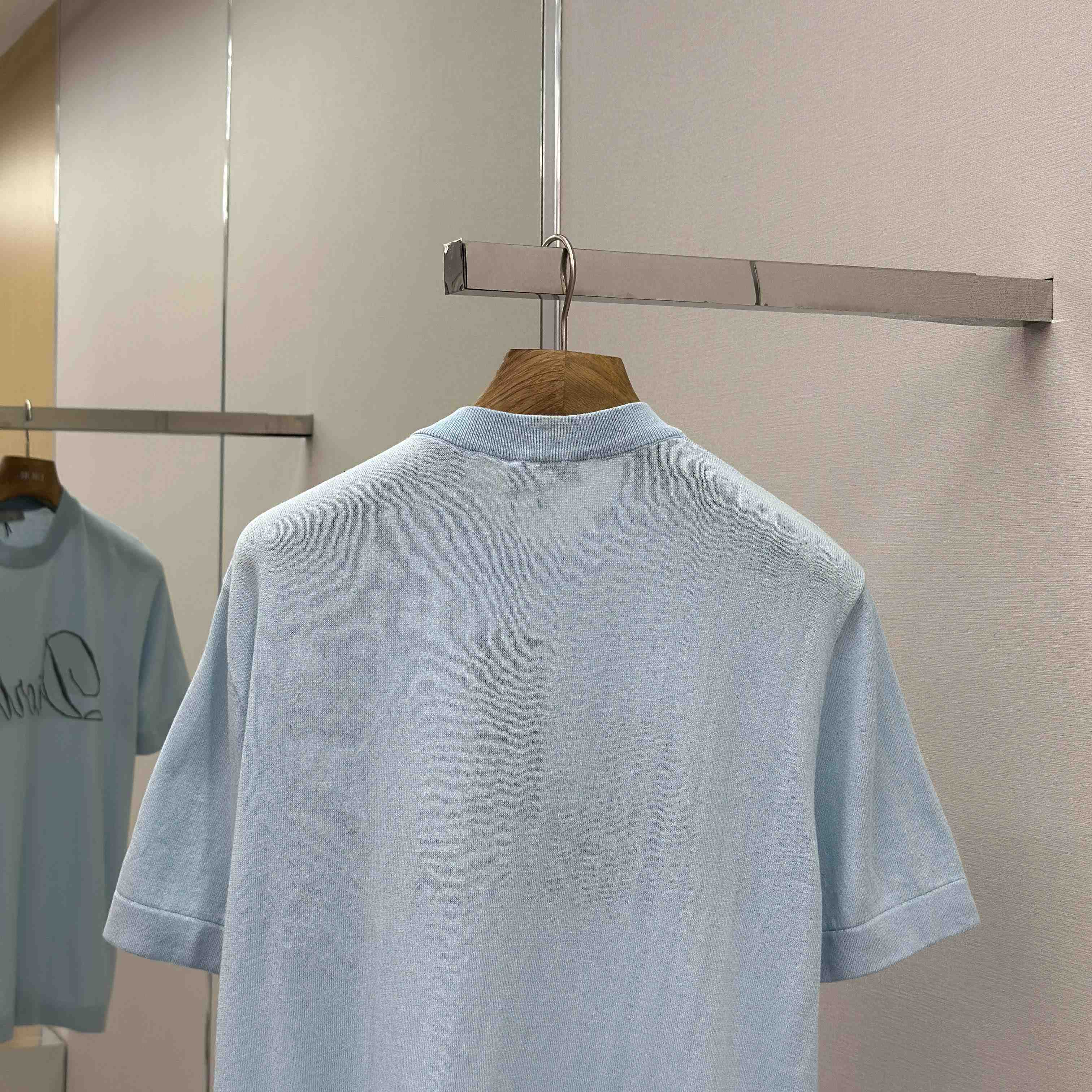 Dior Diorling T-Shirt   - DesignerGu