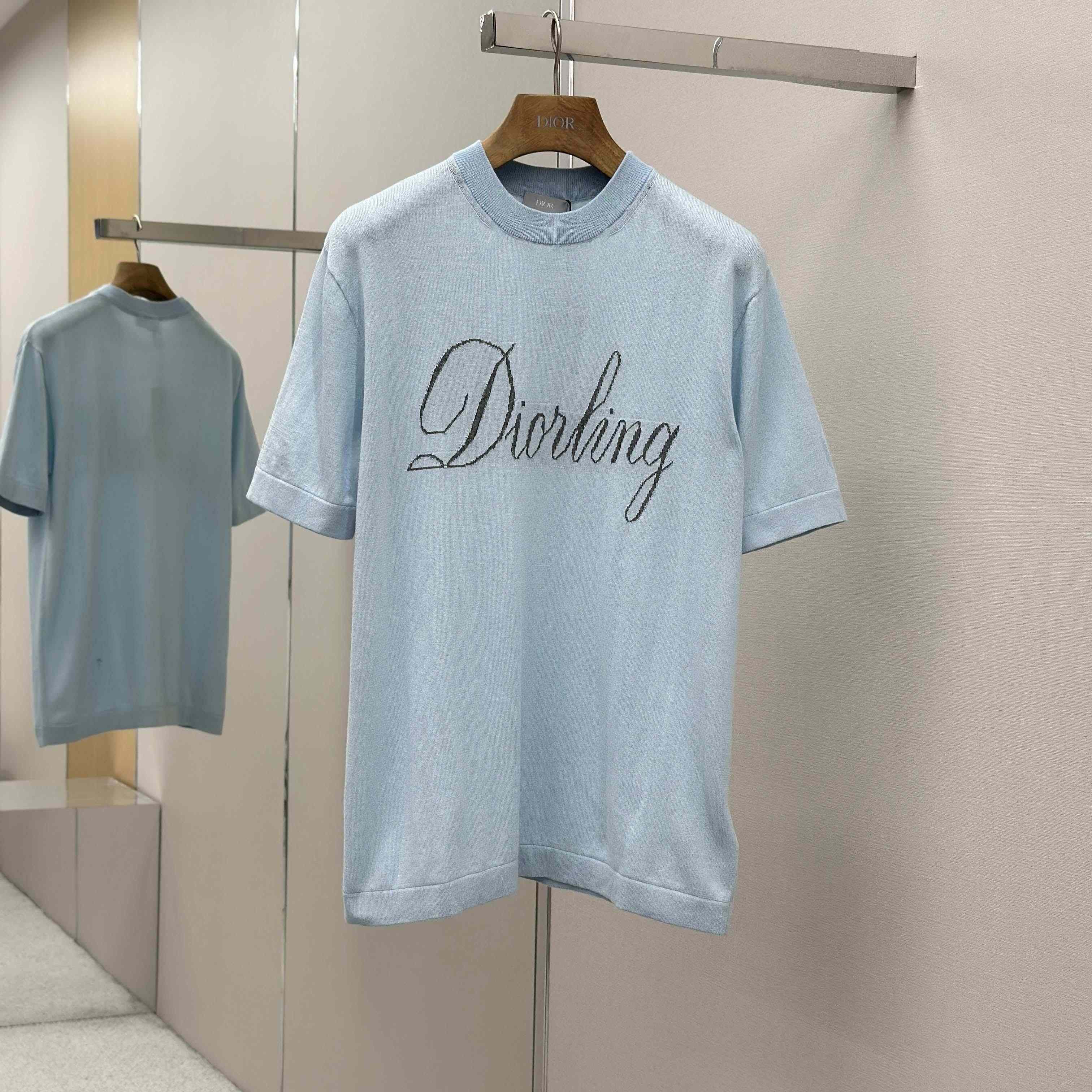 Dior Diorling T-Shirt   - DesignerGu