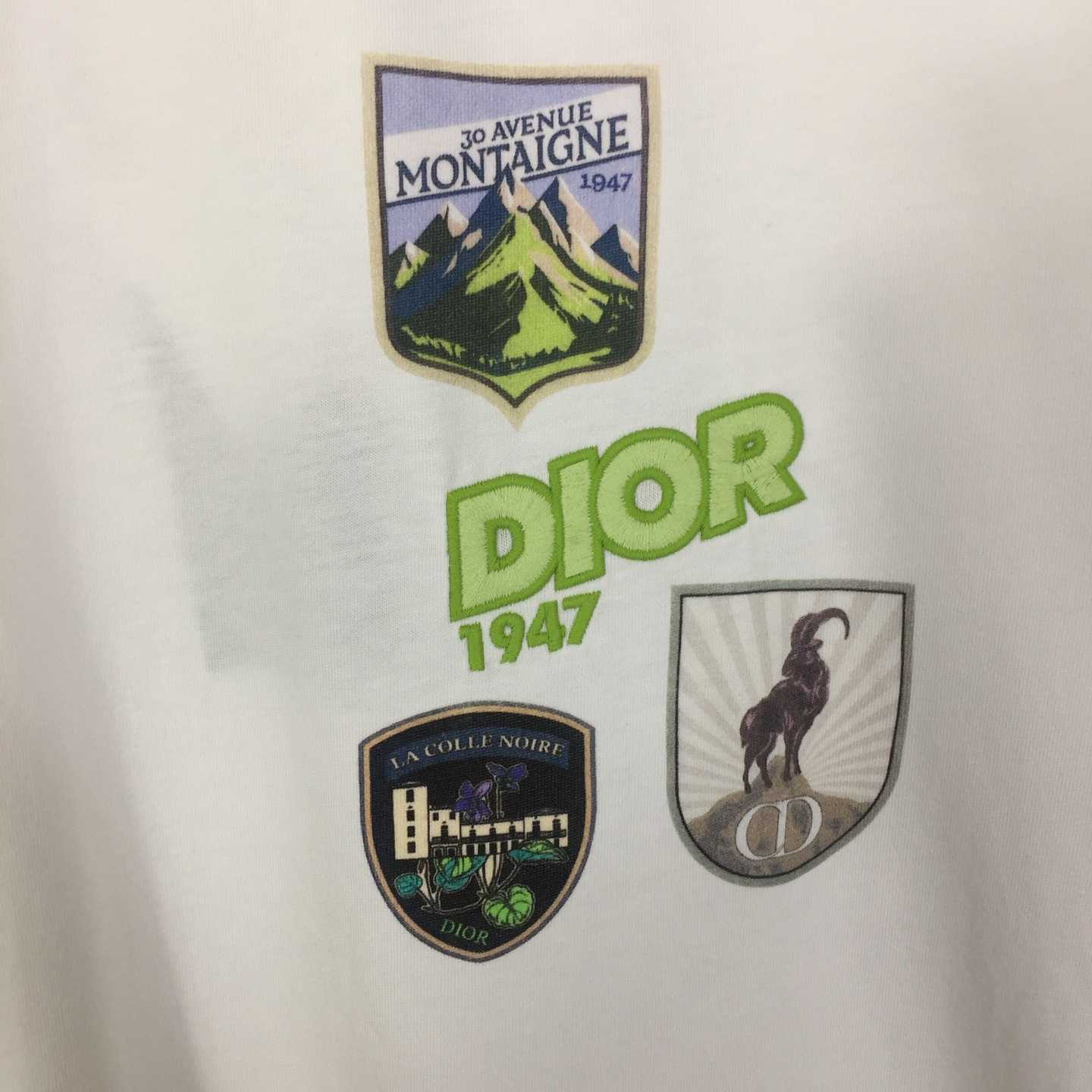 Dior Mountain T-Shirt, Relaxed Fit - DesignerGu