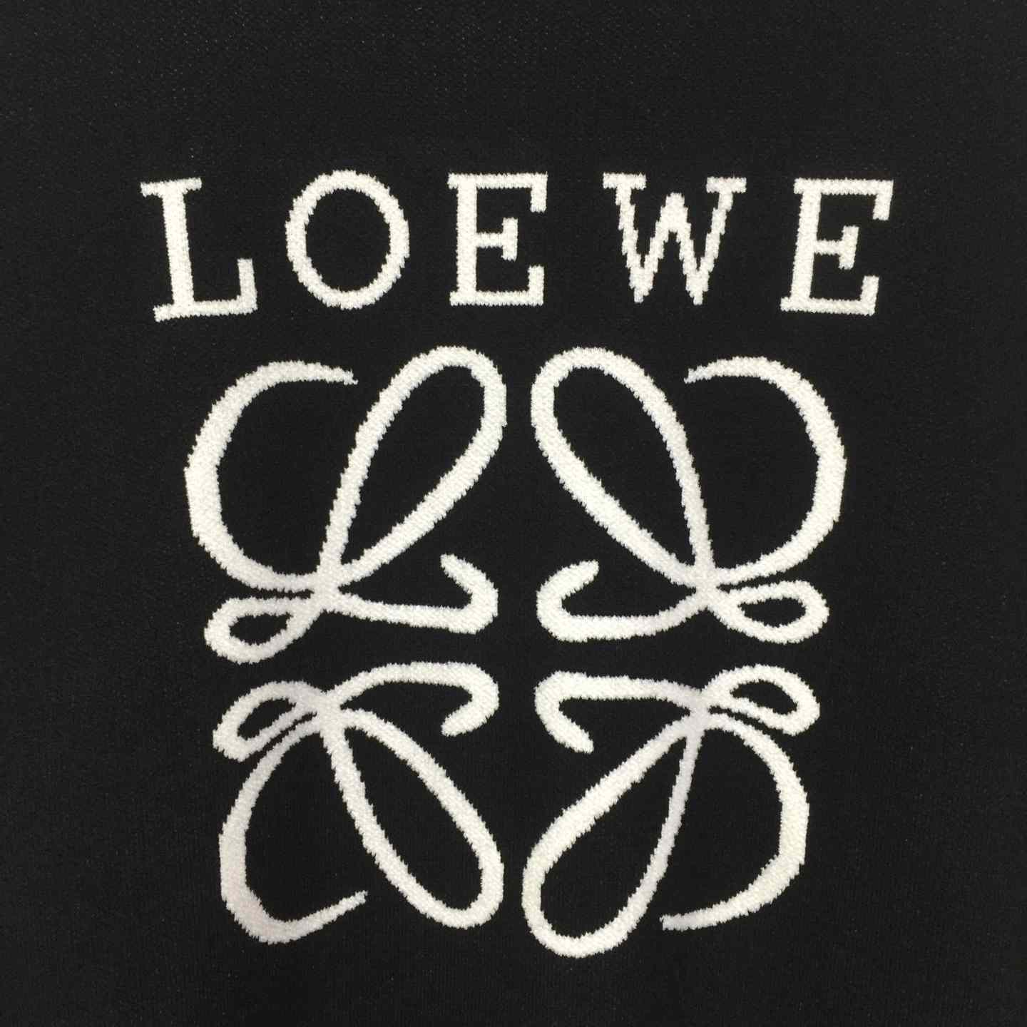Loewe Sweater - DesignerGu