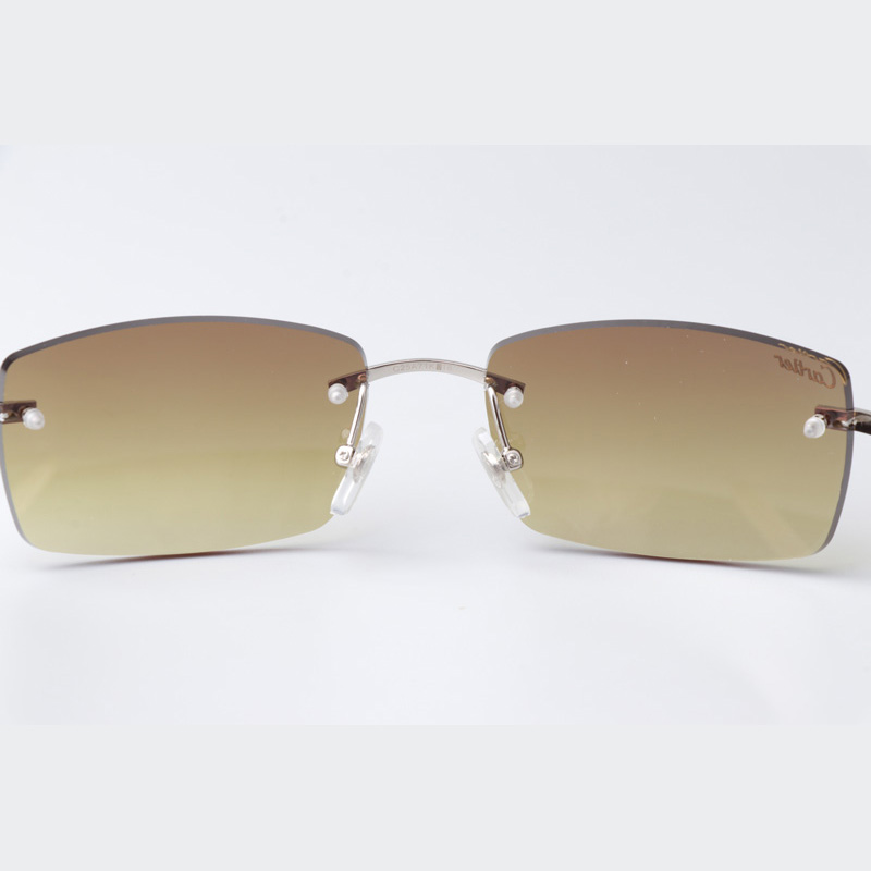 Cartier CT_3524012 White Buffalo Sunglasses In Silver Brown - DesignerGu