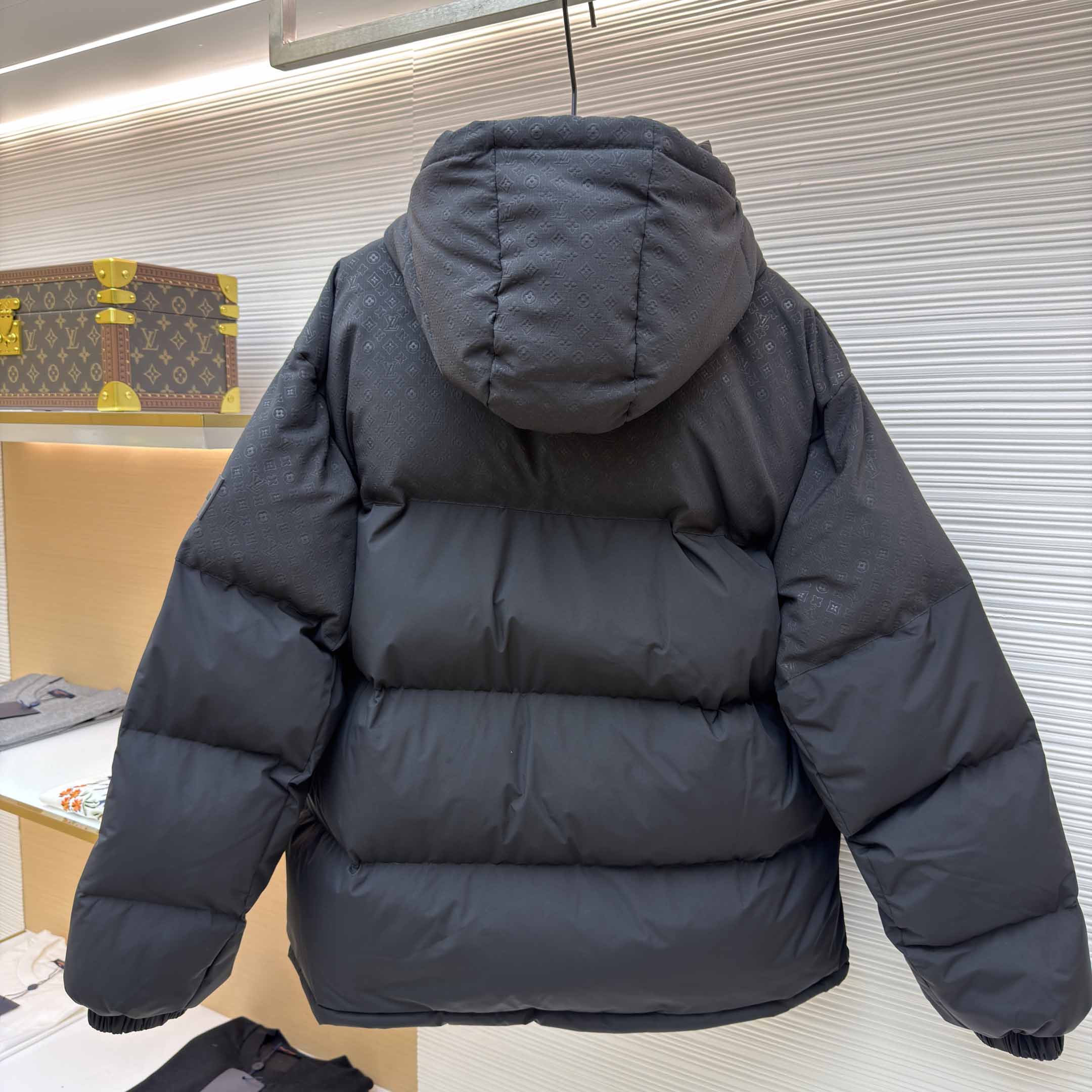 Louis Vuitton Down Blouson    - DesignerGu