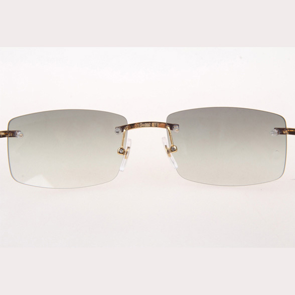 Cartier CT_3524012 White Buffalo Sunglasses In Gold Grey - DesignerGu