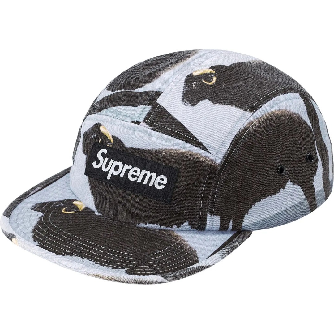 Supreme x Damien Hirst Camp Cap 'Black' - DesignerGu