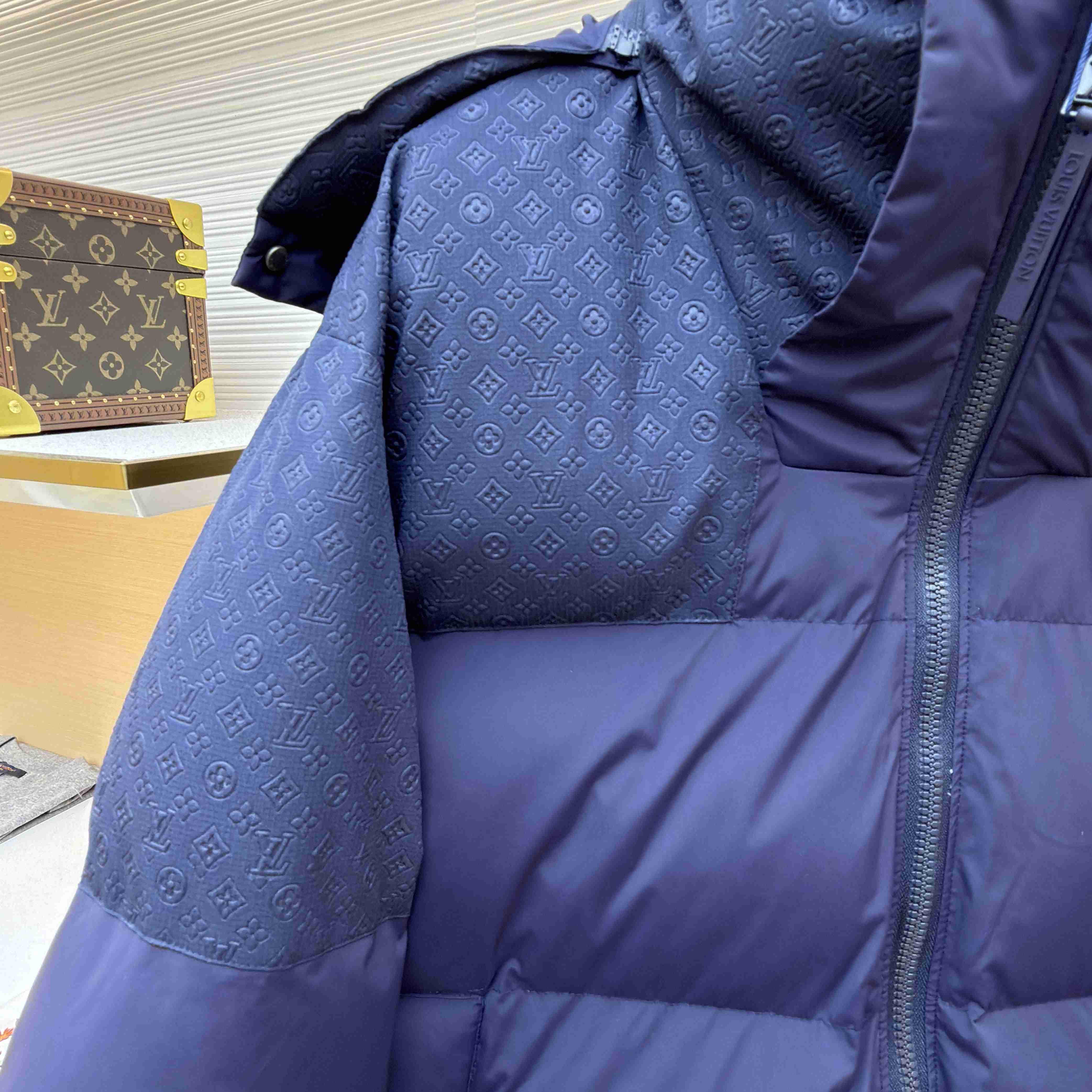 Louis Vuitton Down Blouson 1AGIJR - DesignerGu