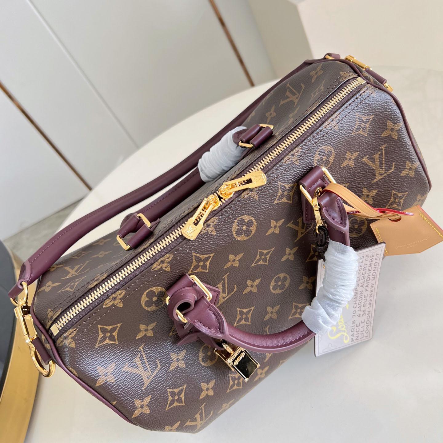 Louis Vuitton Speedy 30 Soft Celebration M28379 - DesignerGu