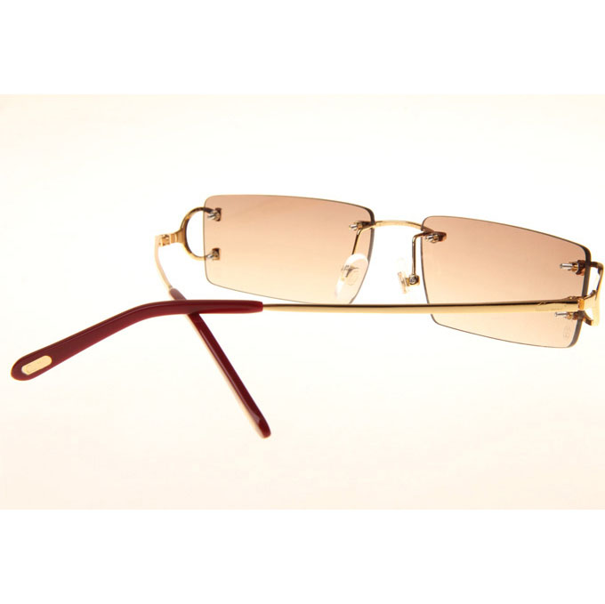 Cartier CT 4193830 Sunglasses In Gold Gradient Brown - DesignerGu