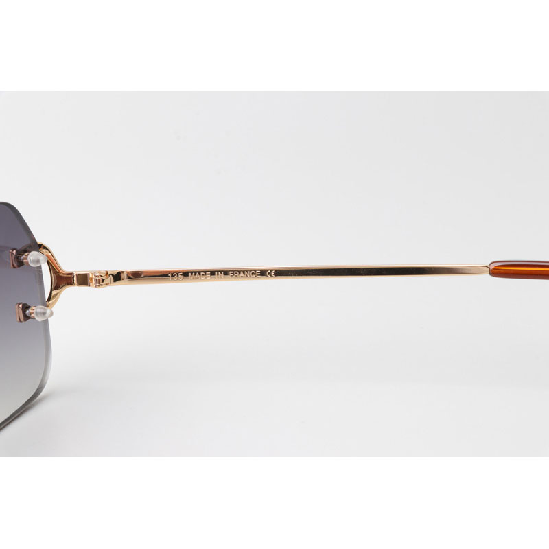 Cartier CT 4193833 Sunglasses Gold Gradient Gray - DesignerGu