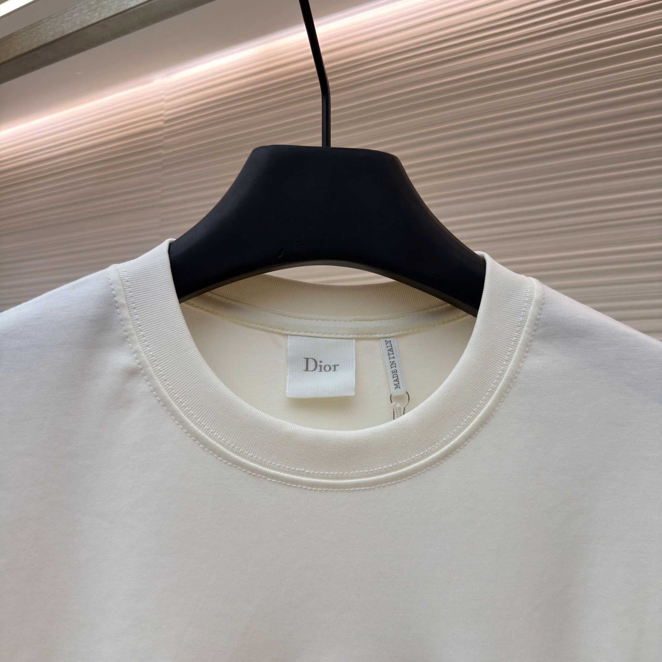  Dior T-shirt With Lettering - DesignerGu