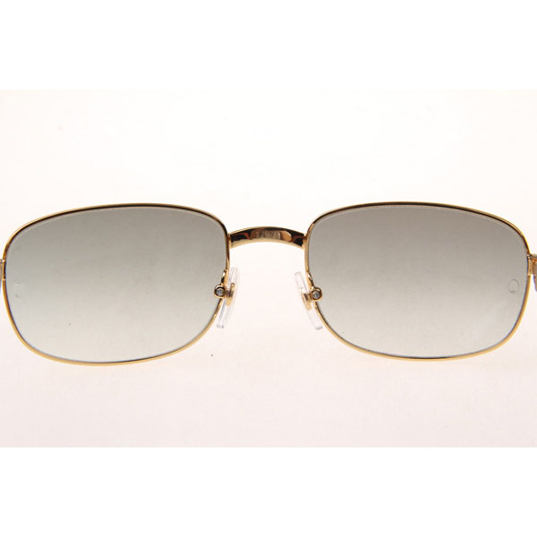 Cartier CT 7381148 Wood Sunglasses In Gold Grey - DesignerGu