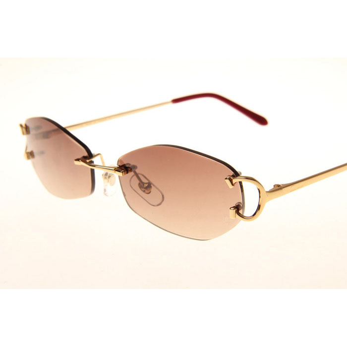 Cartier CT 4193831 Sunglasses In Gold Gradient Brown - DesignerGu