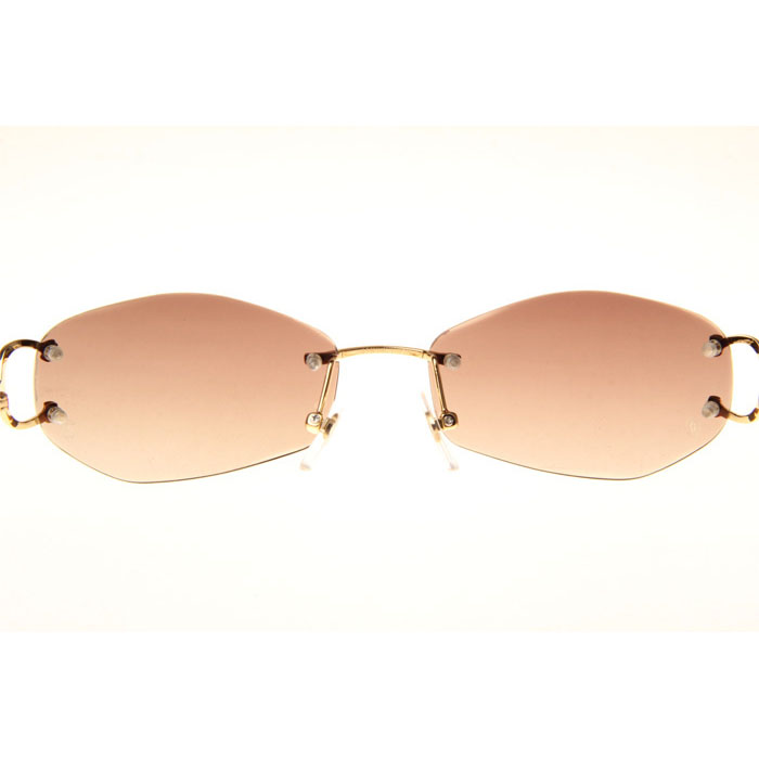 Cartier CT 4193831 Sunglasses In Gold Gradient Brown - DesignerGu