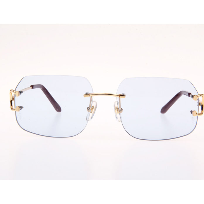 Cartier CT 4193833 Sunglasses In Gold Blue - DesignerGu