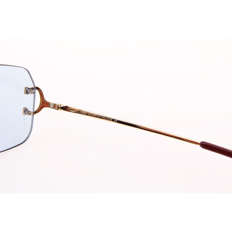 Cartier CT 4193833 Sunglasses In Gold Blue - DesignerGu