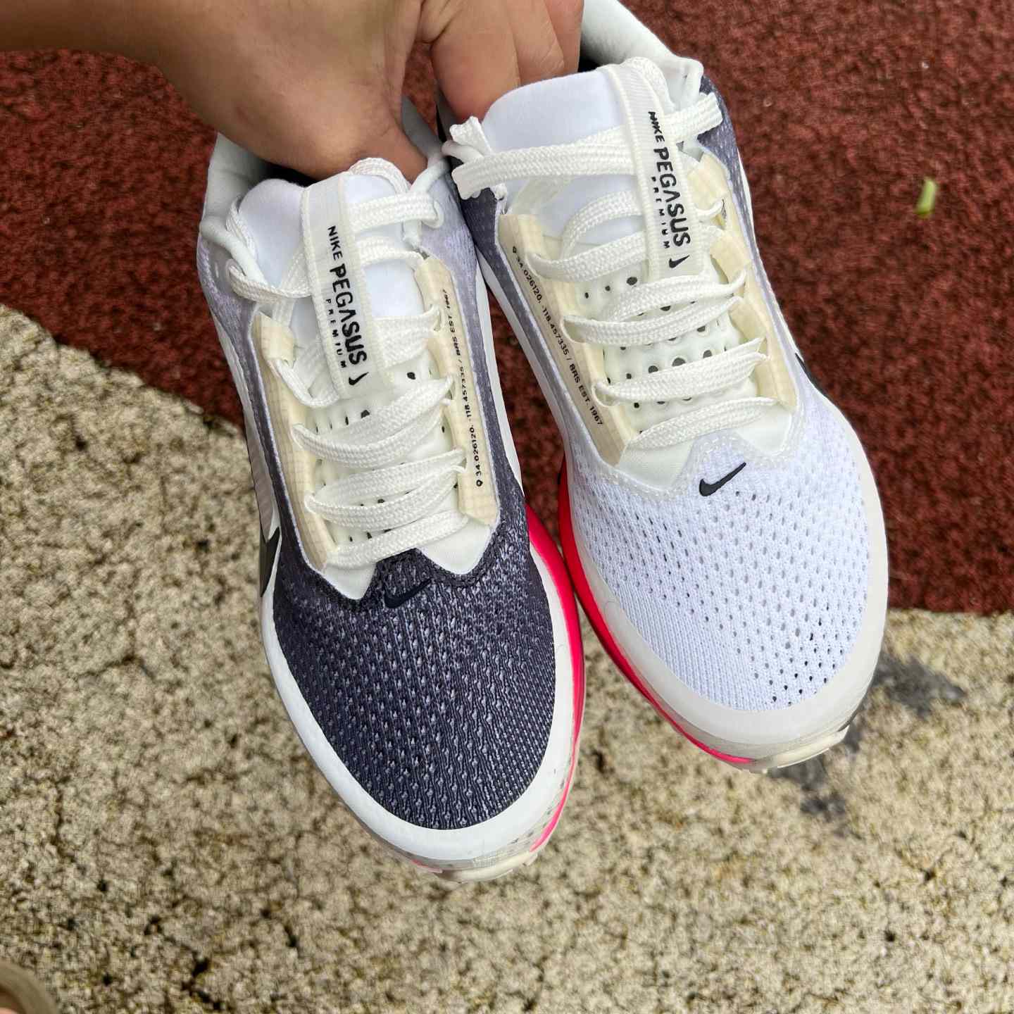 Nike Pegasus Premium  IQ1130-001  - DesignerGu